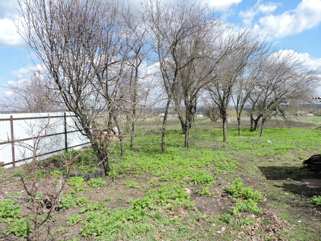 Купить Квартиру В Красненском Районе Белгородской Области