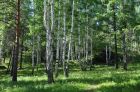 Продаю земельный участок 4,7 га, лес, озеро, соседи в Екатеринбурге