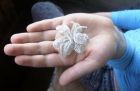 Пошаговое плетение из бисера на проволоке и леске, детям с 7 лет. в Краснодаре
