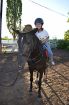 Езда на лошадях от студии destreza в Уфе
