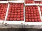 Продаем помидоры оптом в краснодарском крае,краснодарские помидоры оптом в Краснодаре