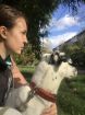 Ищем спонсора для продвижения группы выгула собак в Красноярске