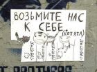 Котятки из приюта всех мастей. мохнатым шалунам нужен дом в Москве