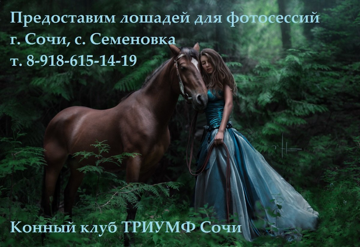 Девушка лошадь клип. Фотосессия с лошадьми. Фотосессия с лошадью в платье. Девушка на лошади в лесу. Сказочная фотосессия с лошадью.