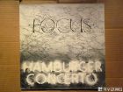 Focus/ earth and fire/ incredible string band /family  -