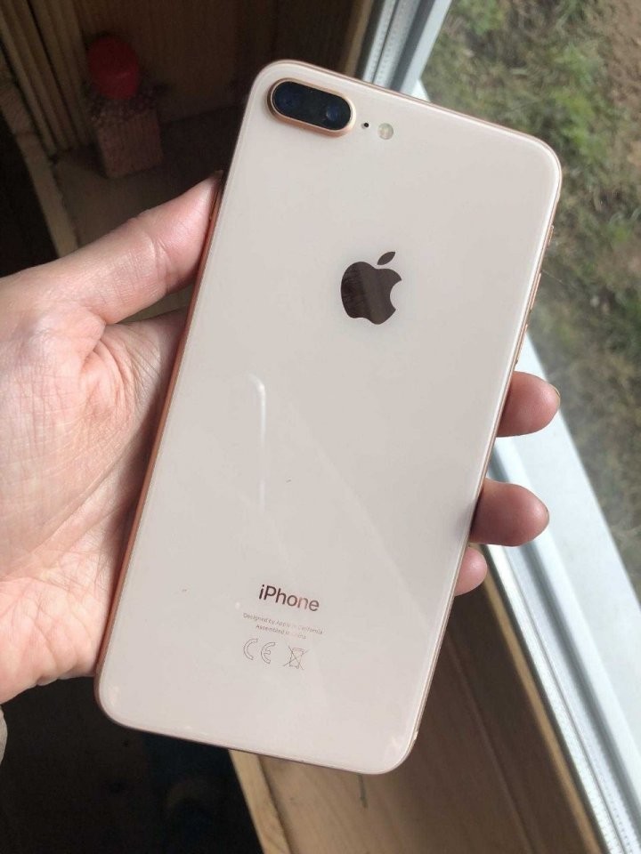 8 Plus 64 Gb Купить