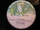 Peter hammill – the future now  -