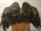 Черные крылья напрокат. самара  для фотосессий всем желающим,  черные крылья, материал - изолон.  ра в Самаре