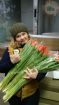 Тюльпаны экстра (45-70см) и мимоза, оптом к 8 марта 2022г. в Красноярске