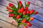 Тюльпаны экстра (45-70см) и мимоза, оптом к 8 марта 2022г. в Красноярске