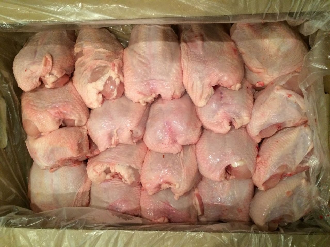 Курица оптом от производителя. Мясо птицы. Тушка куриная. Замороженная курица.