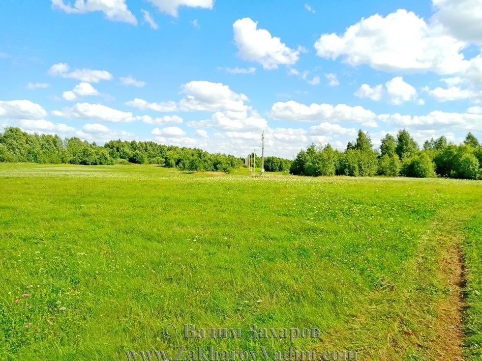 Участки смоленская. Д Пенеснарь Смоленск. Пенеснарь фото участок. Дорога Пенеснарь. КП Пенеснарь 1.