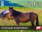 Электро-пастух для лошадей в Казани