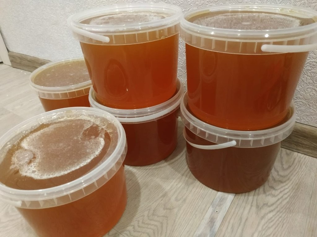 Купить продать мед оптом
