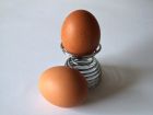 продажа яиц