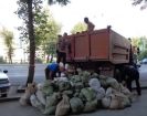 Вывоз мусора область в бабяково в Воронеже