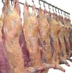 Мясо говядина, свинина, цыпленка бройлера в Смоленске