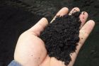 В бабяково плодородная почва чернозем с доставкой недорого воронеж в Воронеже