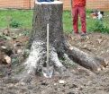 Корчевание деревьев на дальних садах воронежская область в Воронеже