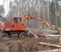 Корчевание деревьев на дальних садах воронежская область в Воронеже