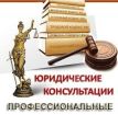 Адвокат по арбитражным делам санкт-петербург в Санкт-Петербурге