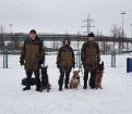 Дрессировка собак всех пород в Москве