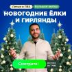 Елки искусственные и гирлянды новогодние в хабаровске в Хабаровске