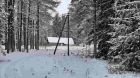 Домик на эстонском хуторе в хвойном лесу под старым изборском в Пскове
