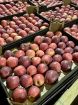 Яблоки оптом в новосибирске от прямого поставщика в Новосибирске