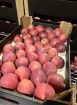 Яблоки оптом в новосибирске от прямого поставщика в Новосибирске