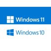 Windows 11 и 10 Professional...