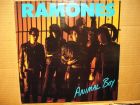Ramones – animal boy  -