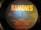 Ramones – animal boy  -
