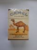  camel  -