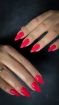  commode nails: , ,     