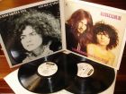 Tyrannosaurus rex – a beard of stars / unicorn  -