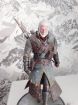   (The Witcher)...