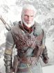   (the witcher) - , 24  