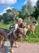 Идеальная пара классных собак в семью в Санкт-Петербурге