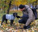 Дэва — ваша новая подруга для спокойных прогулок в Санкт-Петербурге