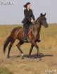 Лошадь на продажу, кобыла  сабина 2006г.р. в Москве