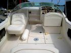  searay 245   marinzip, 59600 $  