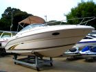  searay 245   marinzip, 59600 $  