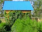 Продам дом в Алтайском крае