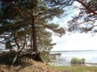 Земельный участок на берегу чудского озера в Санкт-Петербурге