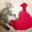 Британский котик ищет кошечку для вязки в Кирове