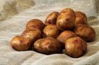 Продаём картошки оптом в хабаровске с доставкой в Хабаровске