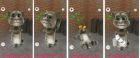 Интерактивная мягкая игрушка- повторюшка говорящий кот том в Санкт-Петербурге