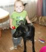 Подарите себе домашнего чудо-щенка с доставкой! в Санкт-Петербурге